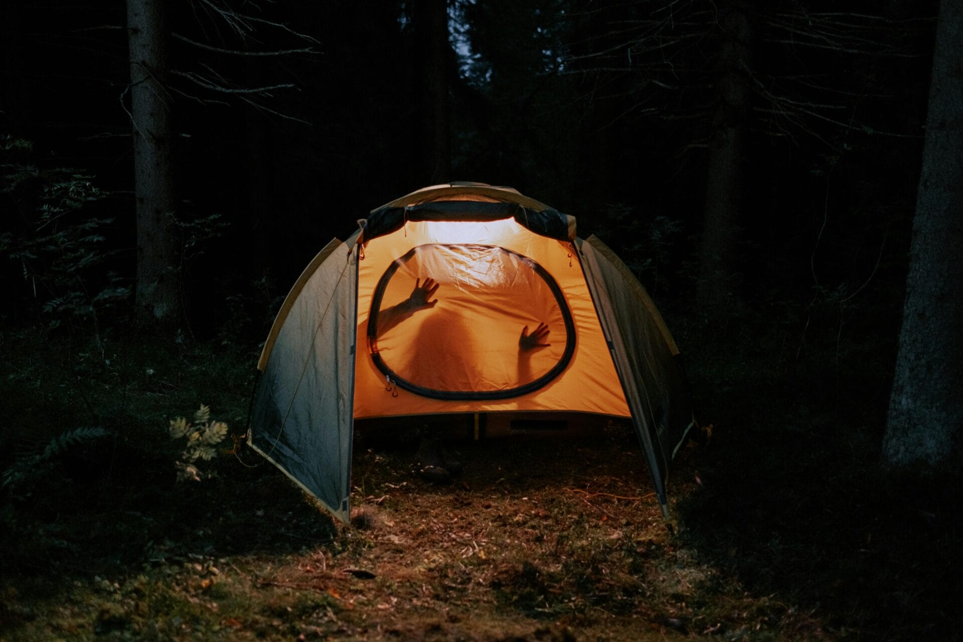 Une tente faiblement éclairée dans une forêt sombre respire le mystère, des silhouettes de mains se pressant contre le tissu de l'intérieur. C'est comme si la tente détenait les secrets du test de sexualité d'un couple, créant ainsi une scène intrigante et intime.